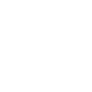 Pavempro