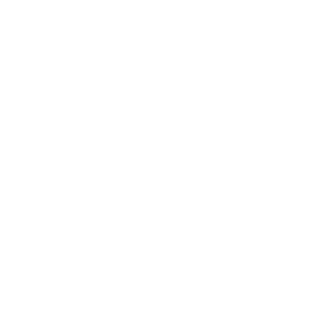 Vinted